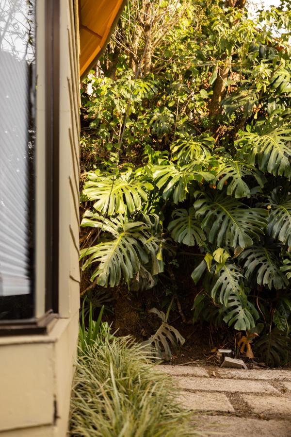 Gamai Monteverde Tiny House Bagian luar foto